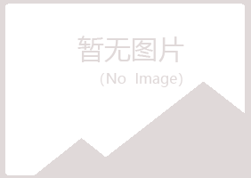 咸阳夏岚制造有限公司